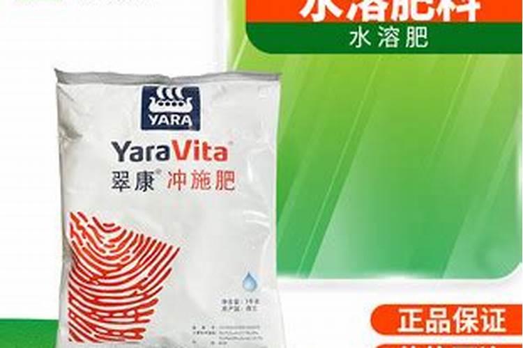 玉树扦插生根最快方法,4个妙招让生根速度加倍