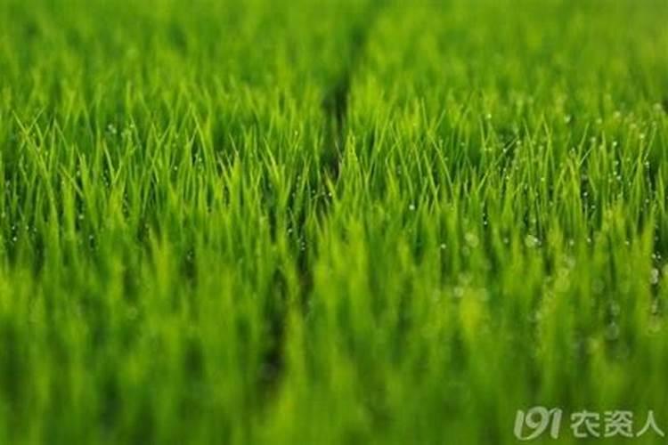 (证券市场基础知识pdf)钾肥龙头股票有哪些