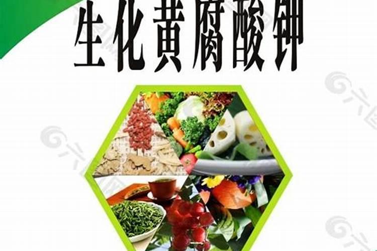 水培叶子发黄怎么办