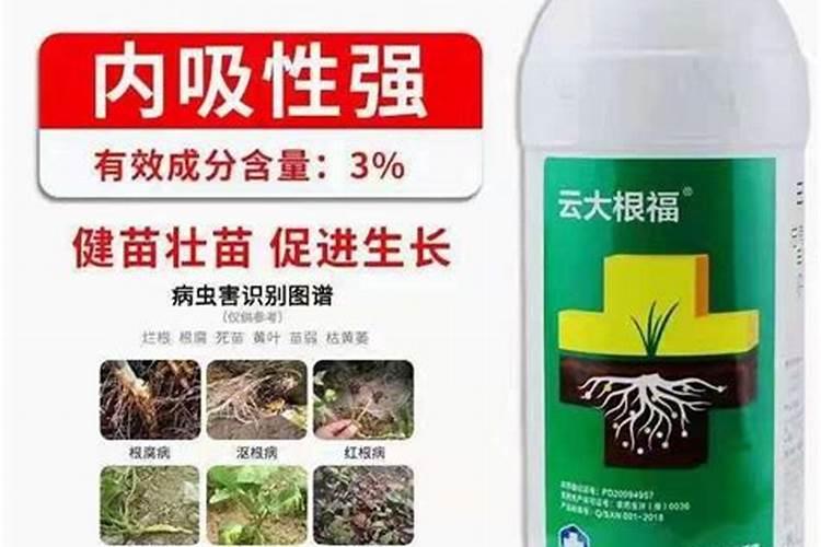 氮肥有哪些？各自有什么特点？
