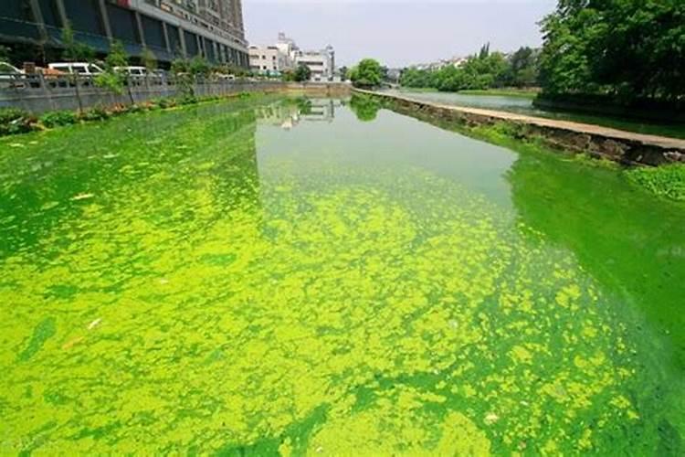磷肥可以兑水浇吗