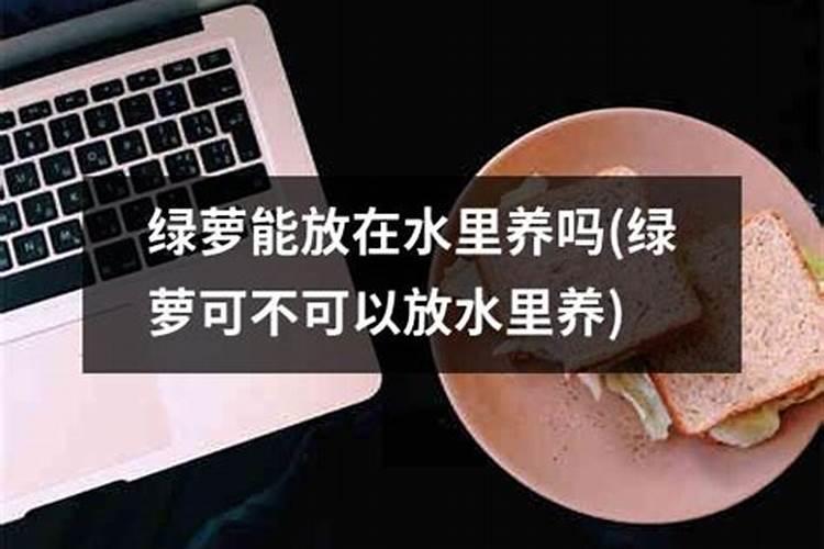 速效复合肥怎么使用正确,适合什么植物
