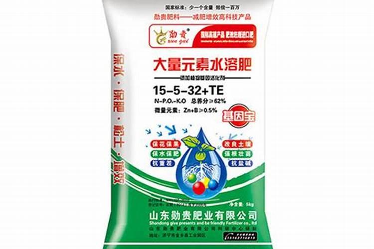 南美白对虾的成长期养殖