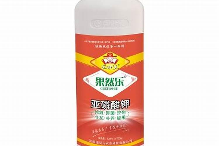 丑八怪橘子树种植技术