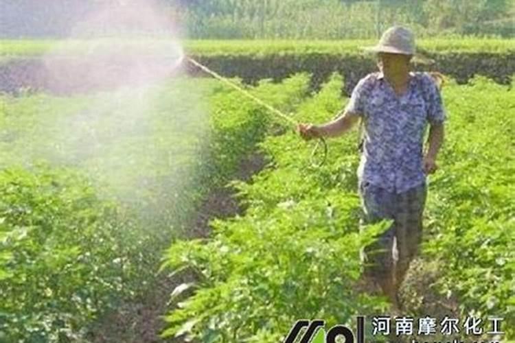 ...钠能用来熔融分解磷酸盐,怎么反应的？(按理说磷酸盐应该是碱性...