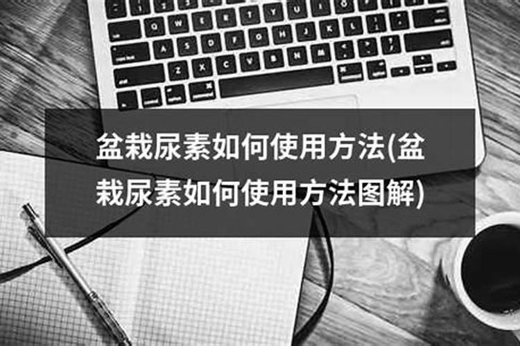发财树用尿素追肥可以吗
