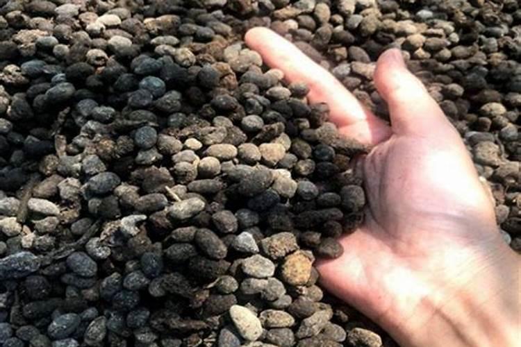 含氨基酸水溶肥料微量元素型标准