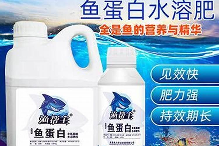香椿哪个品种最好