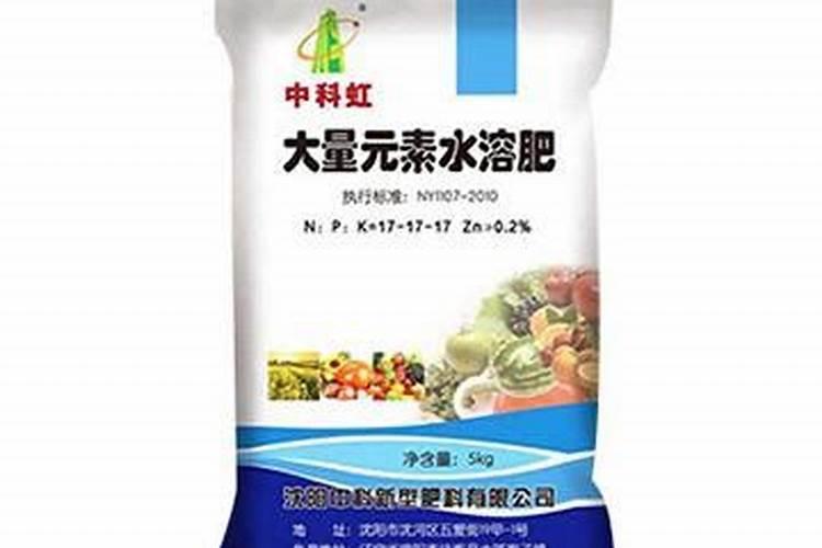淮北冬麦区早茬小麦高产栽培技术要点有哪些？