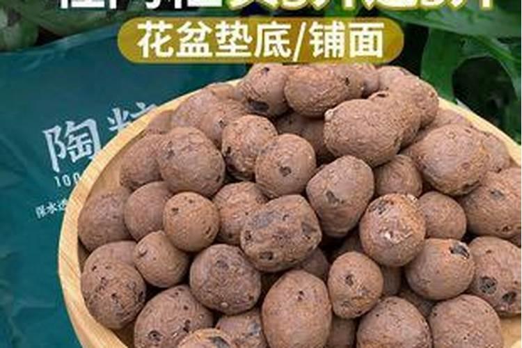 江西哪里的杜鹃花好看 五大观赏地推荐