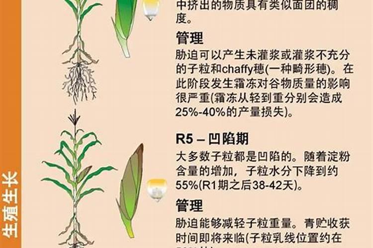 硝酸钾、硫酸钾、氯化钾,三种钾肥有哪些区别呢？