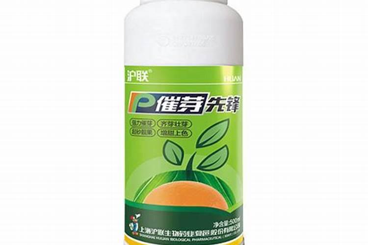 催芽用什么肥料最好