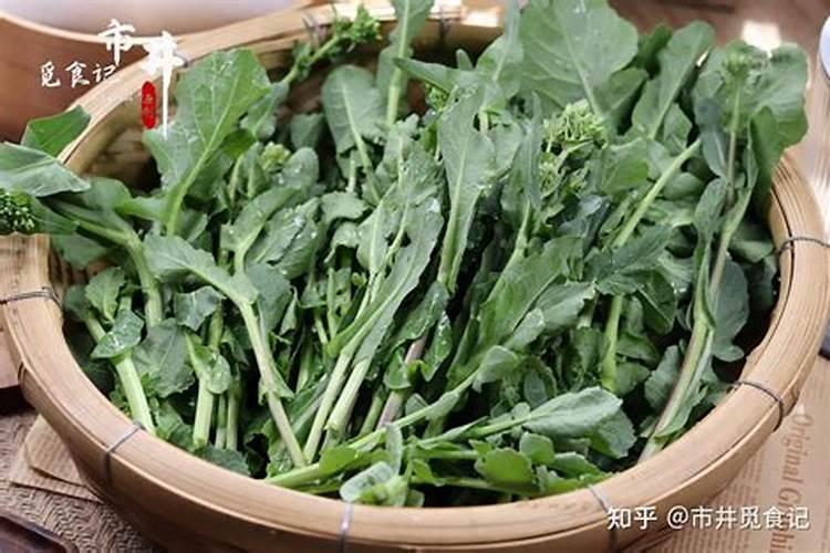 油菜苗可以喷叶面肥吗