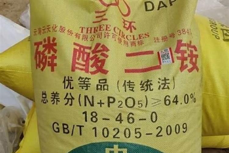 农资公司简介范文