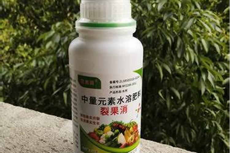 中国最好的果树叶面肥有哪些？