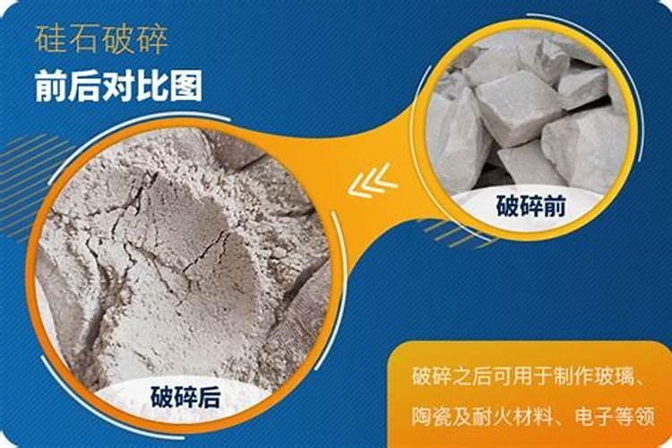 黄河象的骨头为什么不会腐烂