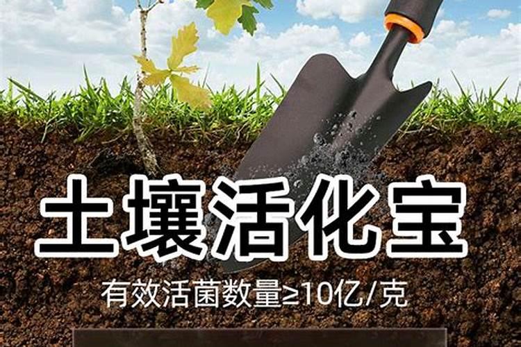 大量元素执行标准