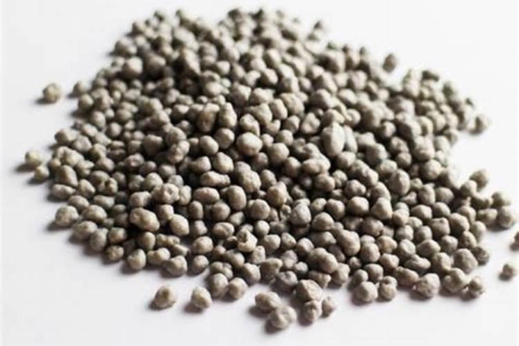 山茶花怎样养才能活？