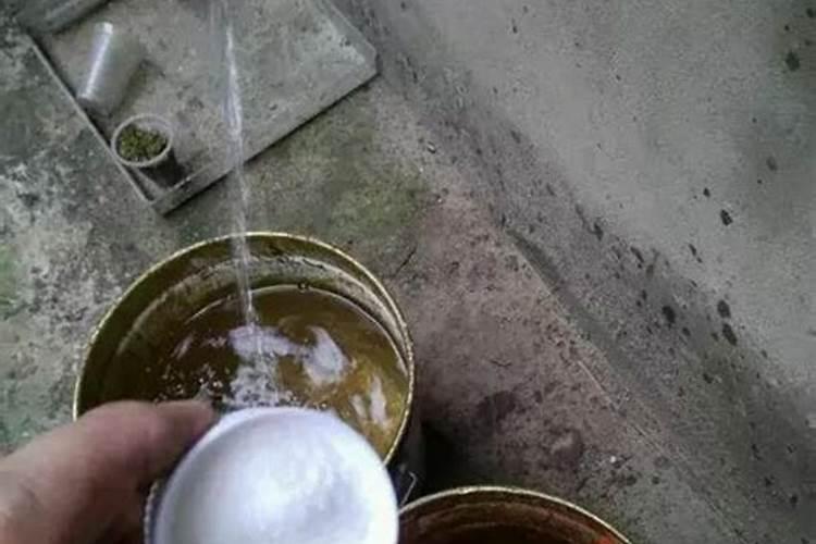 种玉米底肥用什么复合肥好