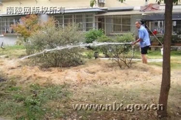 黏土能溶解于水吗？