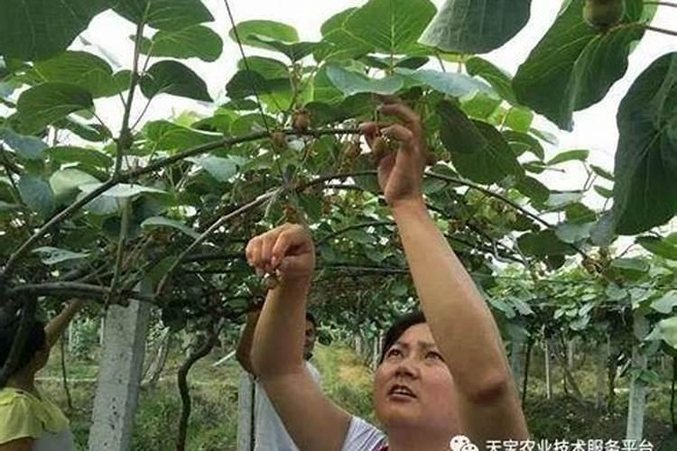 澳大利亚的深海鱼油好吗