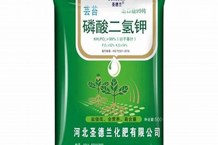 蔬菜深加工有聚会吗？