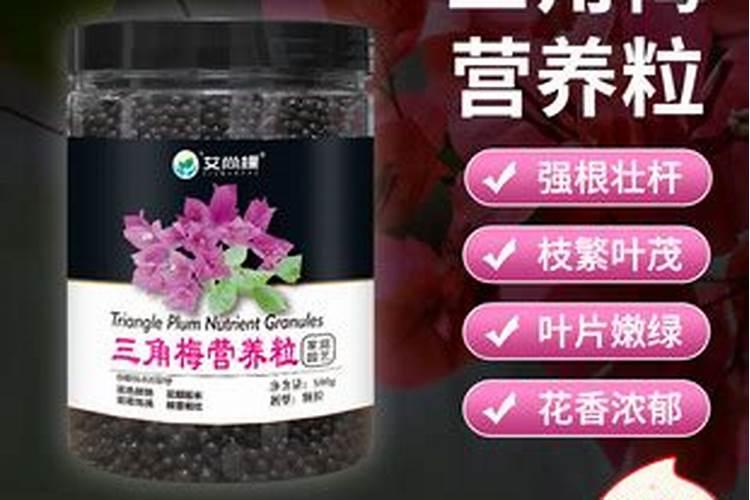 嫁接大树用什么方法