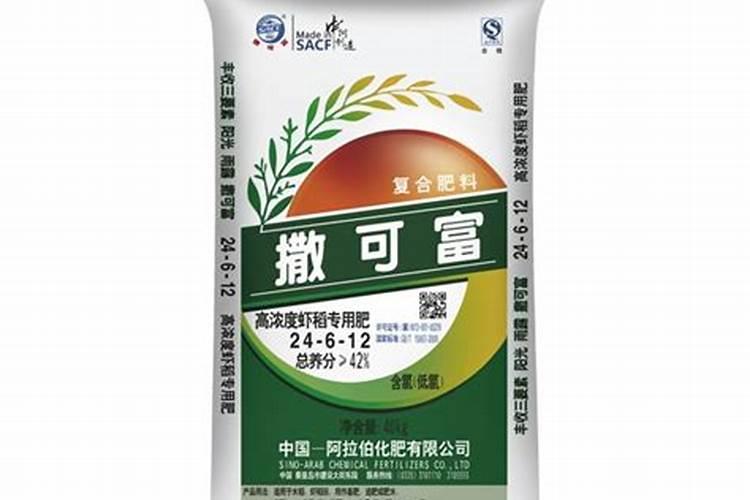 请问种树是施肥还是先浇水
