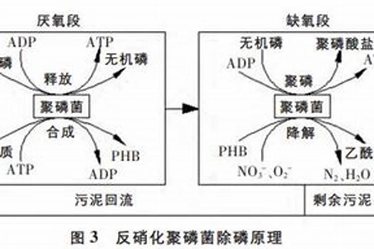 复合肥的正确使用方法浇菜
