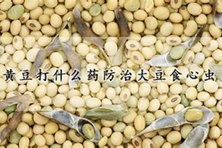 芸苔素内酯可以滴灌冲施吗一亩地冲是多少？