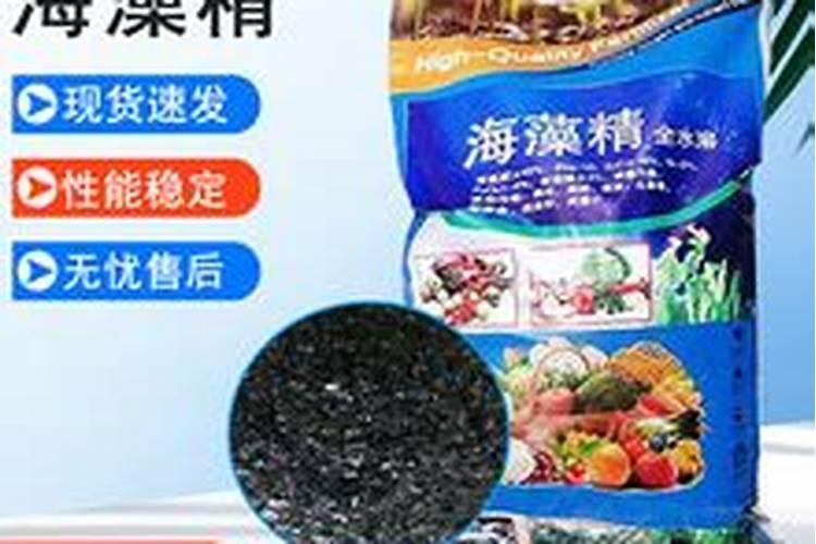 花生对于肥料的需求有哪些,哪种叶面肥可促花生高产