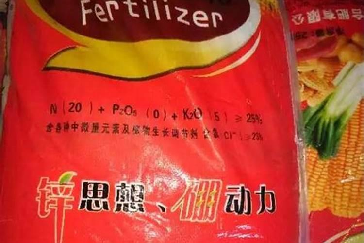 洋姜不开花会长洋姜吗