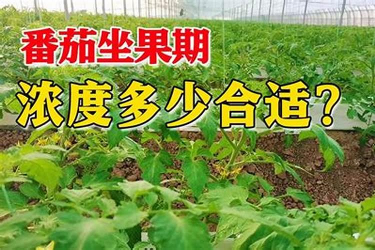 骨粉养花的正确用法、哪些花不可以施骨粉
