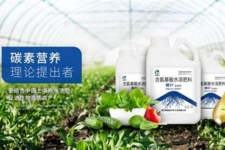 西瓜怎么用肥料