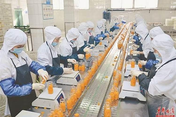 哪种叶面肥效果最好？