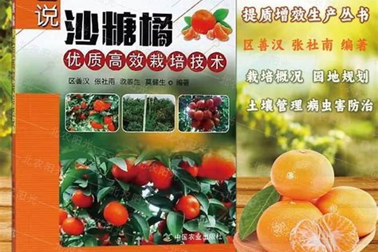 砂糖橘开很多花 用了肥料怎么还会一直掉果？