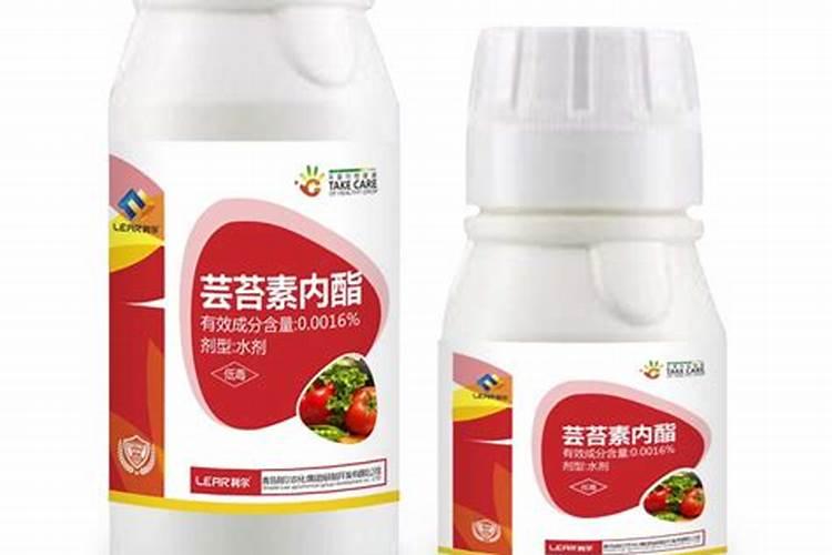 小区园林绿化应该施什么肥料？怎么施？