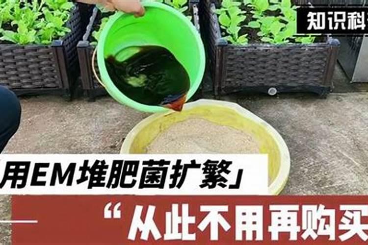 em菌的正确使用方法