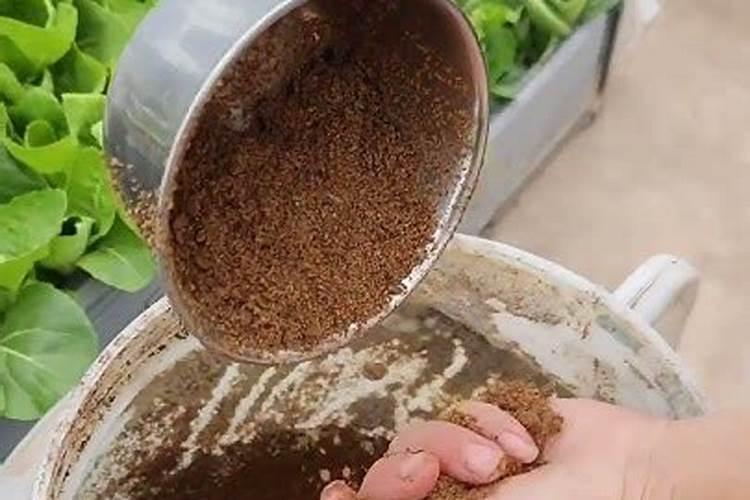 怎么防治植物青枯病？