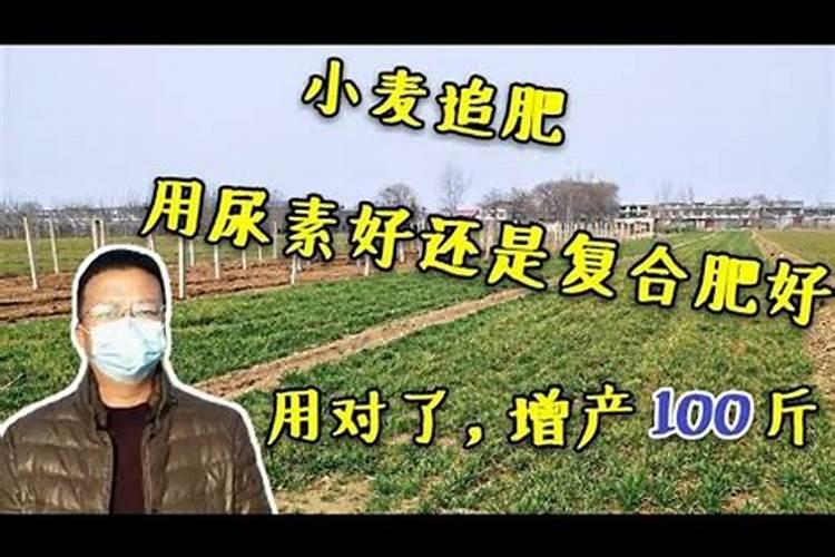 小麦追肥用什么肥料好 小麦追肥用什么类型的肥料好？