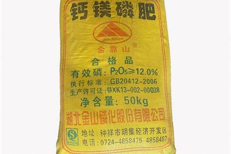 老师帮我看看香瓜苗怎么了,谢谢