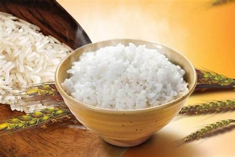 豆饼肥适合哪些花