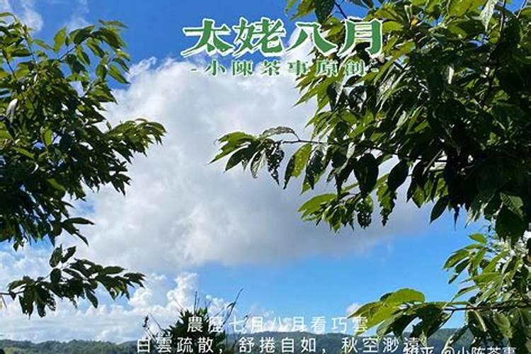 茶叶什么时候施肥最好茶叶施肥要适当
