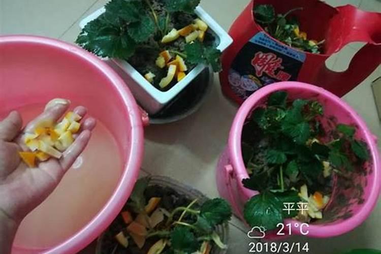 矿源黄腐酸钾真假区别