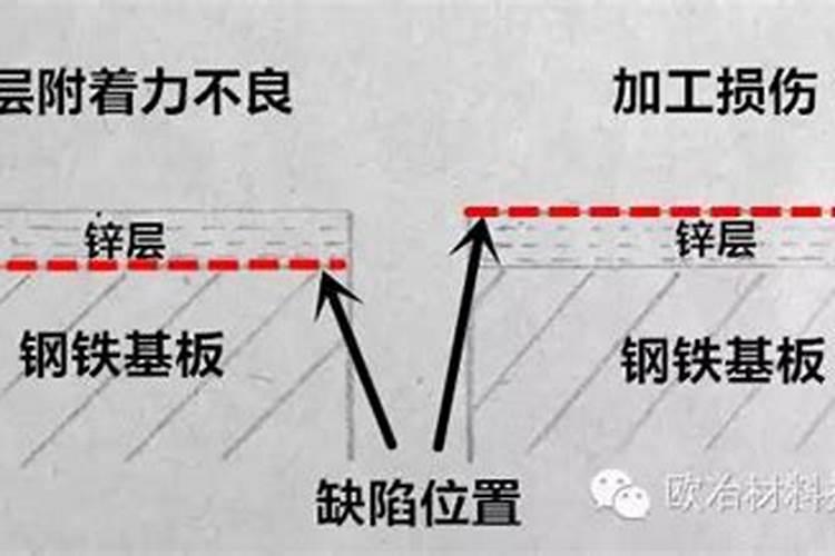 种玉米需要施什么肥料？