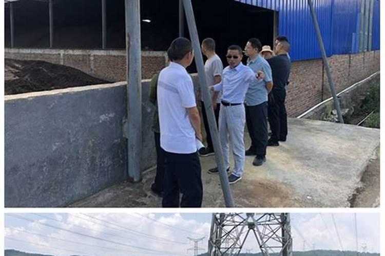 春羽如何长出龙鳞杆 春羽怎么养才能长出龙鳞杆
