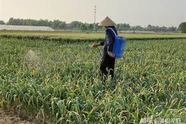 农业种植用颗粒水溶肥真的好吗？