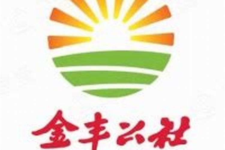 金丰公社的主要股东包括哪些机构