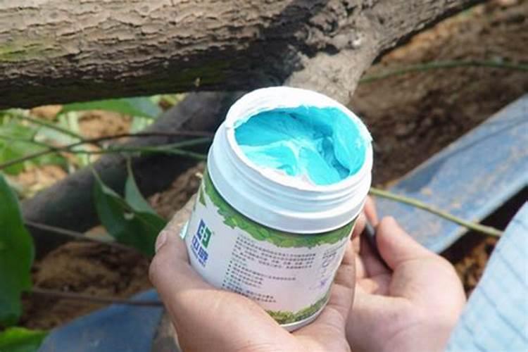 用浓盐水浇树,树会死吗？