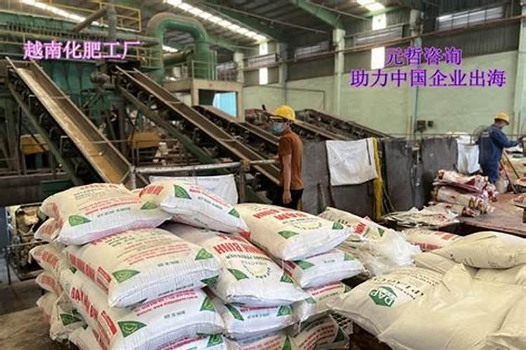 越南一般都大量进口什么物品
